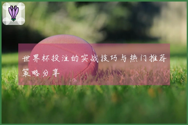 世界杯投注的实战技巧与热门推荐策略分享
