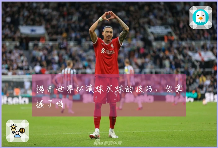 揭开世界杯滚球买球的技巧，你掌握了吗