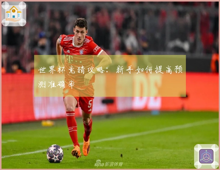 世界杯竞猜攻略：新手如何提高预测准确率