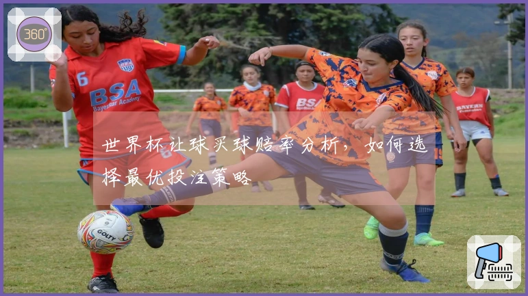 世界杯让球买球赔率分析，如何选择最优投注策略