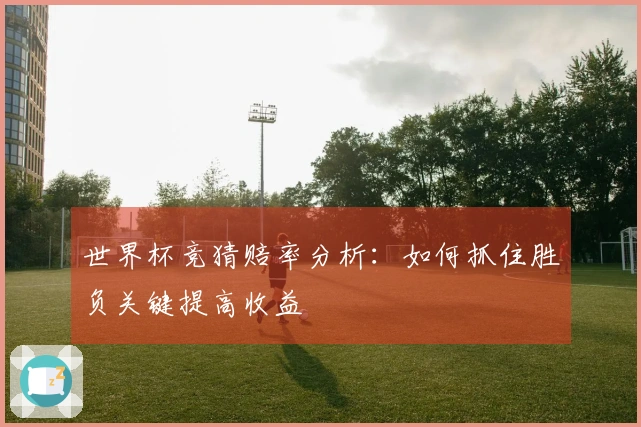 世界杯竞猜赔率分析：如何抓住胜负关键提高收益