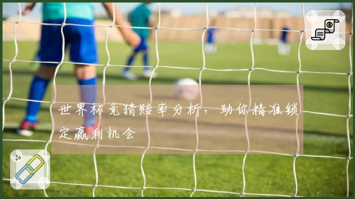 世界杯竞猜赔率分析，助你精准锁定赢利机会