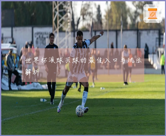 世界杯滚球买球的最佳入口与玩法解析