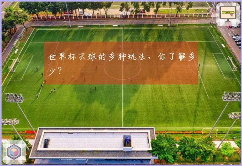 世界杯买球的多种玩法，你了解多少？