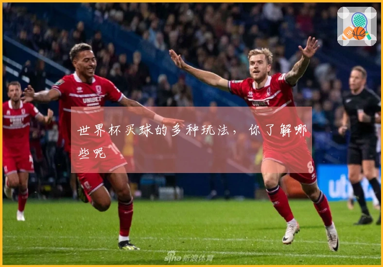 世界杯买球的多种玩法，你了解哪些呢