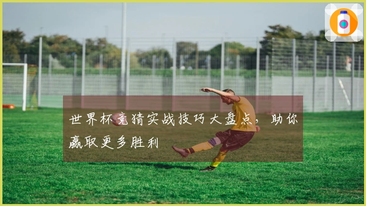 世界杯竞猜实战技巧大盘点，助你赢取更多胜利