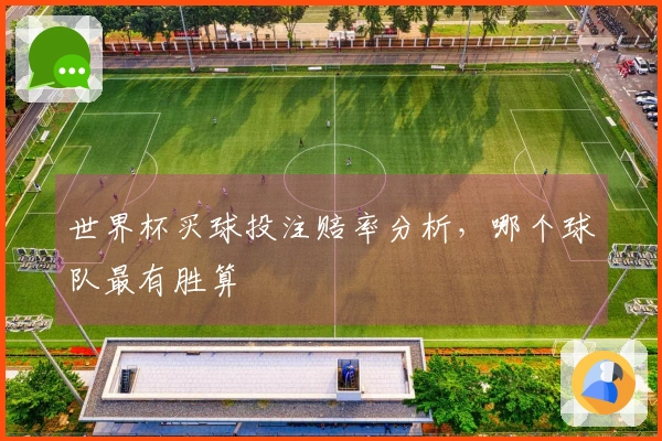 世界杯买球投注赔率分析，哪个球队最有胜算