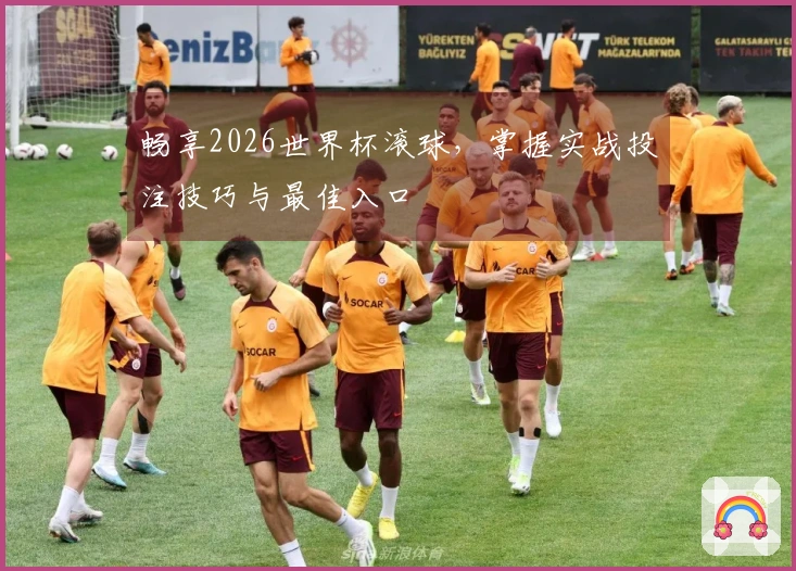 畅享2026世界杯滚球，掌握实战投注技巧与最佳入口