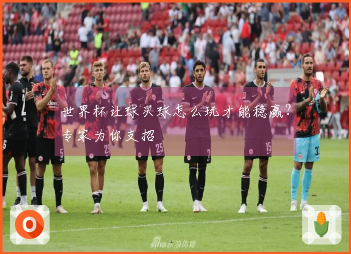 世界杯让球买球怎么玩才能稳赢？专家为你支招