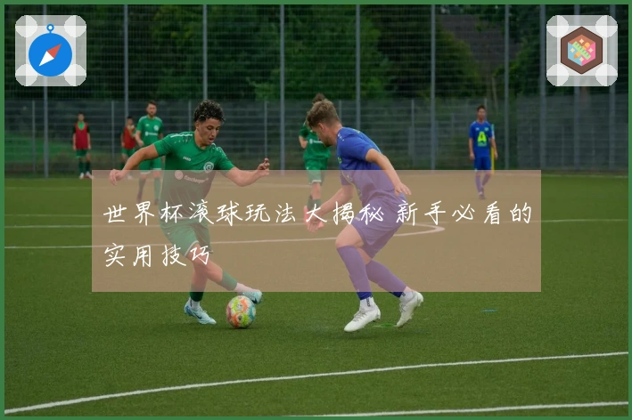 世界杯滚球玩法大揭秘 新手必看的实用技巧