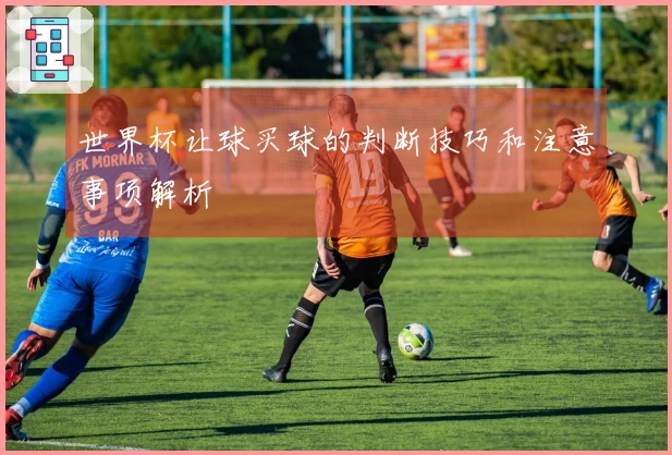 世界杯让球买球的判断技巧和注意事项解析