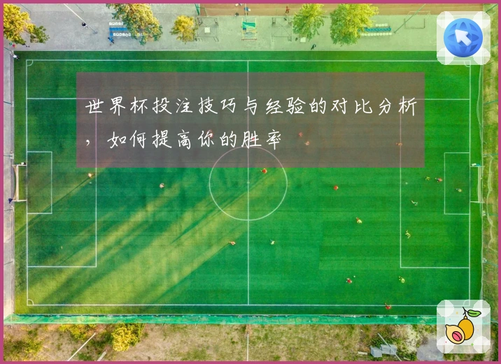 世界杯投注技巧与经验的对比分析，如何提高你的胜率